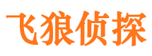 金台寻人公司